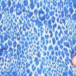 french blue animal print
