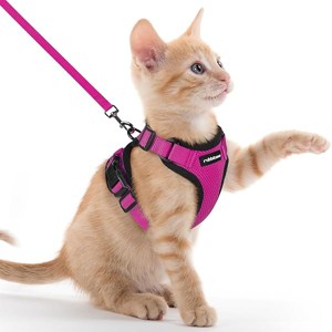 rabbitgoo Cat Harness and Leash for Walking, Escape Proof Soft Adjustable Vest Harnesses for Cats, Rose Red, XXS - 1 of 1