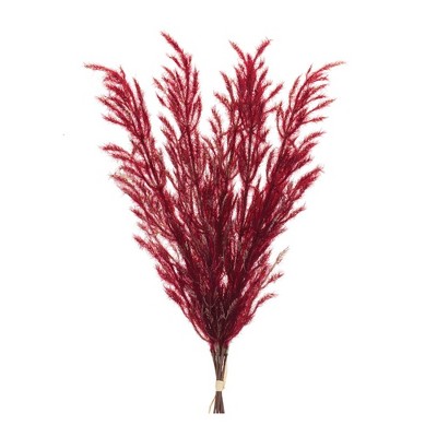 Melrose Plume Bundle (Set of 6)