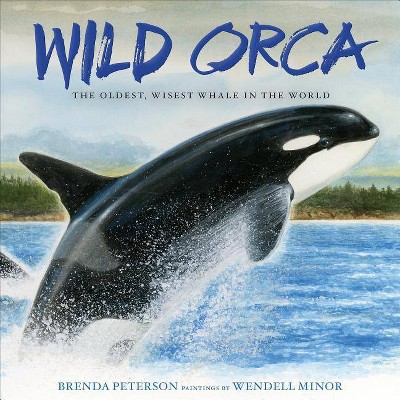 Wild Orca - by  Brenda Peterson (Hardcover)