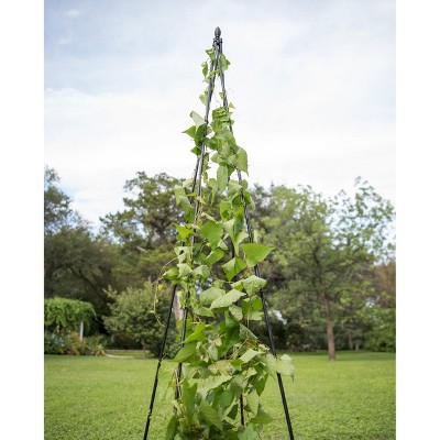 Titan Teepee Trellis Large Lightweight Metal Garden Trellis For Climbing Plants and Flowers - Gardener's Supply Company