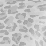 gray leopard