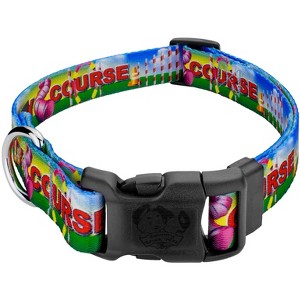Country Brook Design Deluxe Dog Collar - Made In The U.S.A.- Dog's Life Collection - 1 of 4