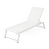 PAGED Patio Lounge Chair Tiltable Recliner with Metal Frame and Mesh Modern Chaise Lounge for Garden, Poolside - 4 of 4