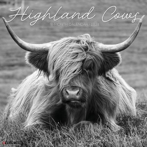 Willow Creek Press 2026 Highland Cows Black and White Wall Calendar - 1 of 4