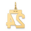 Black Bow Jewelry 14k Yellow Gold, Jersey Collection, Small Number 24 Pendant - 3 of 4