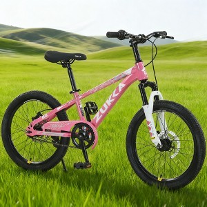 KWPZQEB 20 Inch Mountain Bike with Steel Frame, Outdoor Cycling Bike with Dual Disc Brake System & Adjustable Saddle, Kids Bicycles for Boys & Girls - 1 of 4