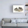 Trademark Fine Art - Elizabeth Gould  Waterbird Pairing III Canvas Art - 2 of 4