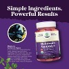 Organic 10mg Melatonin Gummies, Fast Acting Gummies for Adults, Enhanced Sleep Quality & Duration, Nature's Craft, 60ct - 4 of 4
