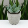 Unique Bargains Artificial Plants Large Mini Pulp with Cactus Finger Plastic 2.36"x2.36"x3.35" 1 Pc - 2 of 4