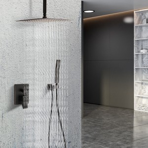 PAGED Ceiling Mounted Shower Head Luxury Shower Faucet Set with Handheld and 10" Shower head for Bathroom, Locker Room - 1 of 4
