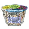 Collections Etc Grow Your Own Succulent Plant Kit with Metal Pot - 2 of 3
