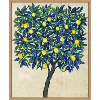 Amanti Art Lemon Tree Composition II by Tim O'Toole Canvas Wall Art Print Framed 16 x 20-in.