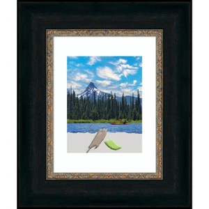 Amanti Art Paragon Bronze Picture Frame - 1 of 4