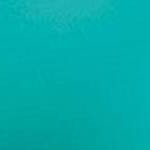 Teal/Black