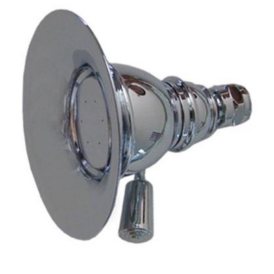 ALFI Showerhaus Small Round Rainfall Showerhead with Spray Holes - Solid Brass Construction with Adjustable Ball Joint
