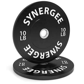 Philosophy Gym Set of 2 Standard Cast Iron Olympic 2-inch Weight Plates (45  LB each)