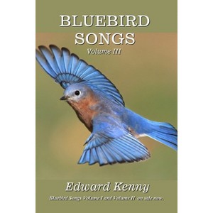 Bluebird Songs (Volume III) - by  Edward Kenny (Paperback) - 1 of 1
