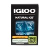 Igloo Natural Ice 2pk - Blue - image 2 of 4