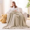 Aoibox Super Soft Flannel Fleece Throw Blanket, Premium Silky 3D Waffle Checkered Lightweight for All Season Use - 2 of 4