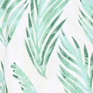 tropical palm leaves