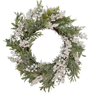 Northlight Artificial Christmas Wreath with Frosted Foliage and Berries, 20-Inch, Unlit - 1 of 4