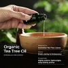 Gya Labs Organic Tea Tree Essential Oil, Organic Tea Tree Oil - 100% Pure Natural, Refreshing Aromatherapy, 0.34 Fl Oz - 3 of 4