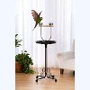 Prevue Pet Round Bird Playstand Medium 3185 - 3 of 3