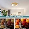 Claxy Gold Round LED Flush Mount Ceiling Light - 4 of 4