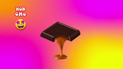 Dark Chocolate Salted Caramel Bites – SkinnyDipped