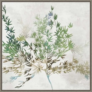 Amanti Art Olive Branch by Asia Jensen Canvas Wall Art Print Framed 22 x 22-in. - 1 of 4