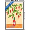 Trends International Reinders: Food - Chili Tree Framed Wall Poster Prints - 3 of 4