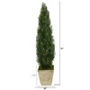Nearly Natural 51-in Cedar Artificial Tree in Country White Planter (Indoor/Outdoor) - 3 of 4