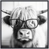 Kate & Laurel All Things Decor 30"x30" Sylvie Highland Cow in Reading Glasses Framed Canvas by The Creative Bunch Black - 2 of 4
