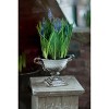 Slickblue Distressed White Metal Planter Urn - 2 of 3