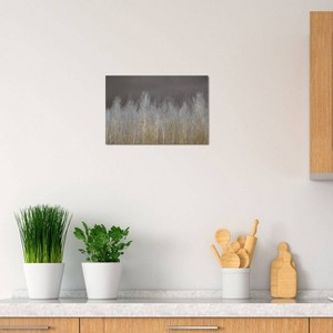 iCanvas Silver Forest by Assaf Frank Canvas Print Wall Art - 1 of 3