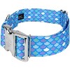 Country Brook Petz 1 1/2 Inch Premium Mermaid Scales Dog Collar - 2 of 4