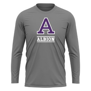 Albion College Adult Sport Long Sleeve Shirt Primary Logo, Athletic Heather - 1 of 4