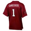 NCAA South Carolina Gamecocks Boys' Jersey - image 2 of 3