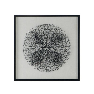 31.5"x31.5" Carlos Shadow Box Wall Decor Black/White - A&B Home: Transitional Style, Mixed Media Art, MDF & Glass Frame