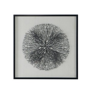 31.5"x31.5" Carlos Shadow Box Wall Decor Black/White - A&B Home: Transitional Style, Mixed Media Art, MDF & Glass Frame - 1 of 4