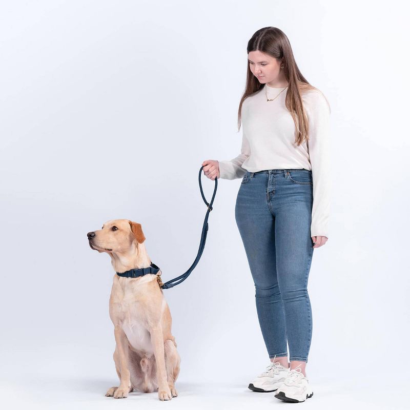 AWOO City Multifunctional Recycled Dog Leash - 5ft, 5 of 9