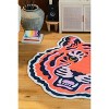 Lany Space Jessica Miller Funky Statement Tiger Rug - 4 of 4