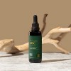 Global Healing Zinc, USDA Organic and Plant-Based Immune Support (2 Oz) - 3 of 3