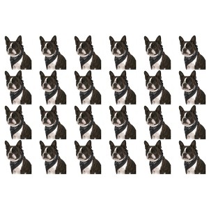 24 Pack Cotton Paisley Dog Bandanas Bulk Set for Groomers Shelters or Parties - 1 of 4