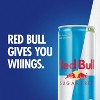 Red Bull Sugar Free Energy Drink - 8.4 fl oz Can - 4 of 4