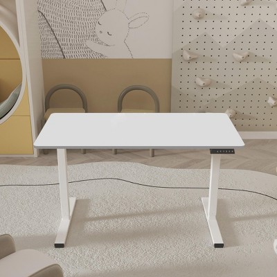 NicBex 48 Inch Electric Standing Desk,Adjustable Height Home Office Desk for Study Room,Bedroom and Office,White