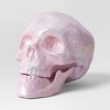 6" Medium Skull Halloween Decorative Prop - Hyde and EEK! Boutique™ - 3 of 3