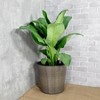 Gulches Stylish Round Self-Watering Wicker Planter - Grey - Size M (13.4"x13.4"x12.2") & Size S (10.2"x10.2"x9.4") - 3 of 4