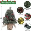 Acekool 2ft Mini Tabletop Tree - Pre-Lit LED Decor with Pinecone Accents - 4 of 4